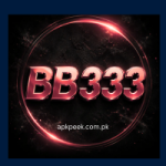 BB333 Game