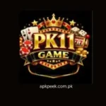 PK11 Game